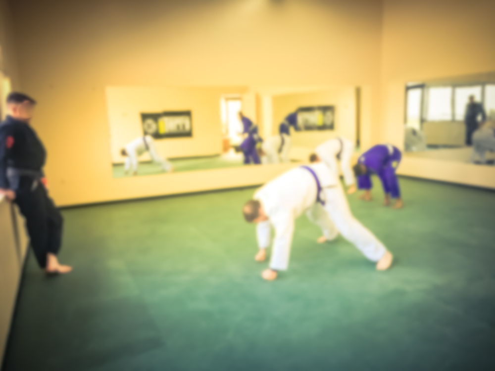 How Do You Beat A BJJ Fighter?