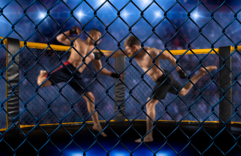 What Is The Most Injury Prone Combat Sport?