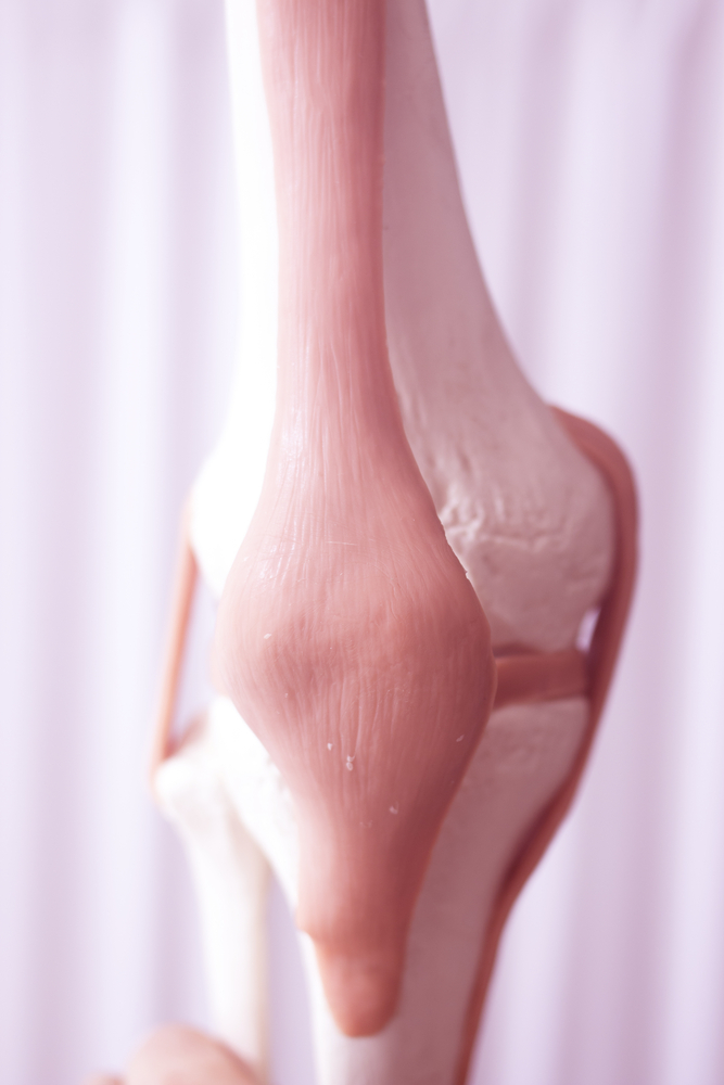 Did I Hurt My MCL Or Meniscus?