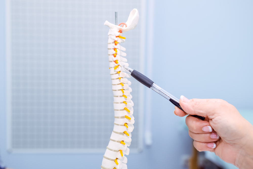 What Happens When You Adjust Your Spine?